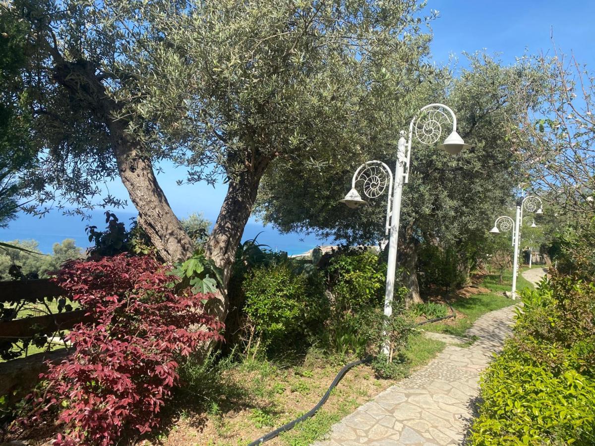 Newly Renovated Apartment Olive Dhermi Exterior photo